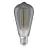 Ledvance Vintage 1906 LED E27 Edison Smoke 11W 500lm - 818  | Dimmable - Remplacement 42W